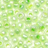 Pearl Seed Beads - Lt. Green Pearl Op - Seed Beads - Rocaille Beads - E Beads