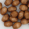 Oval Wooden Beads - Pecan - 