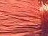 Straw Satin Raffia - Orange - Raffia Bunch - Raffia String - Raffia for Crafts - Raffia Rope