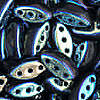 Three Hole Beads - Czech Cali Beads - 3 Hole Beads - Black/ab Reversal - Marquise Beads - Oblong Beads -