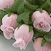 Rose Bud Bunch - Light Pink - Rose Bud Cluster -