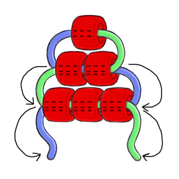 Pony bead keychain pattern instructions showing how two cords cross through each row of beads.