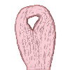 DMC Embroidery Thread - Embroidery Floss 3708 - Lt Melon - Embroidery Floss - Embroidery Skeins