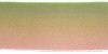 Gradient Colored Wired Ribbon - Green / Pink - Wired Ribbon - Fabric Ribbon -