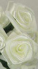 Ribbon Rose Cluster - Ivory - Floral