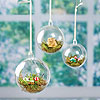 Clear Plastic Ornaments