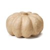 Paper Mache Pumpkin - Craft Basics - Pumpkins