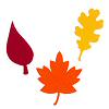 Felties® Assorted Felt Leaves - Felties - 