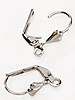 Lever Back Earrings - Silver - 