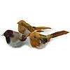 Feathered Chickadees - Assorted - Feathered Chickadee - Miniature Birds - Artificial Birds - Chickadees