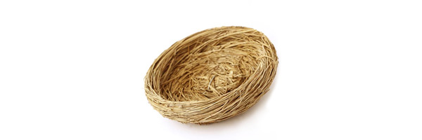 Decorative Bird Nests - Fake Bird Nests - Bird Nests for Crafts