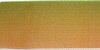 Gradient Colored Wired Ribbon - Green / Peach - Wired Ribbon - Fabric Ribbon